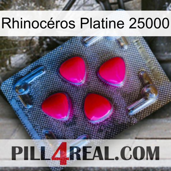 Rhinocéros Platine 25000 13